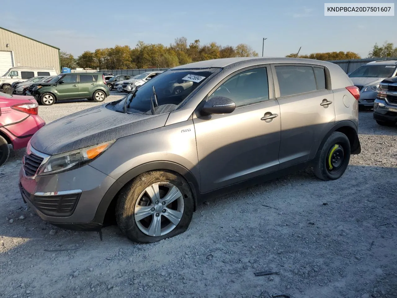 2013 Kia Sportage Lx VIN: KNDPBCA20D7501607 Lot: 74425884