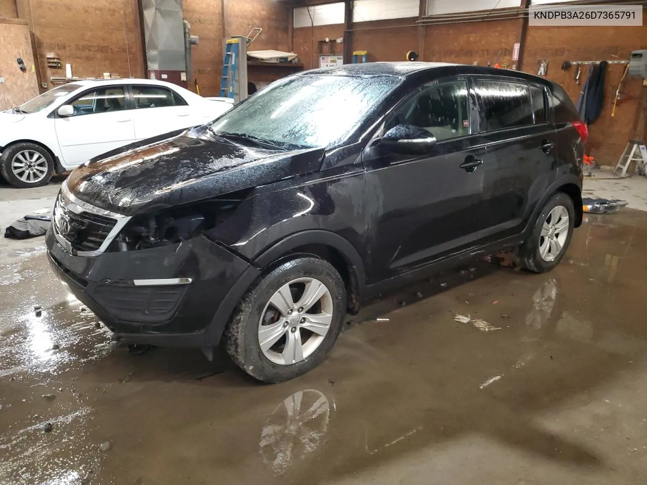 KNDPB3A26D7365791 2013 Kia Sportage Base