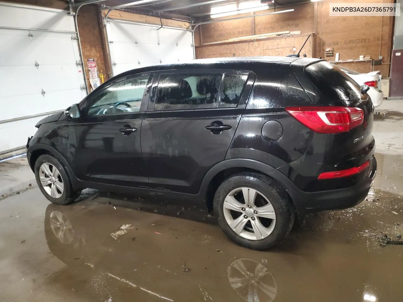 2013 Kia Sportage Base VIN: KNDPB3A26D7365791 Lot: 74584014