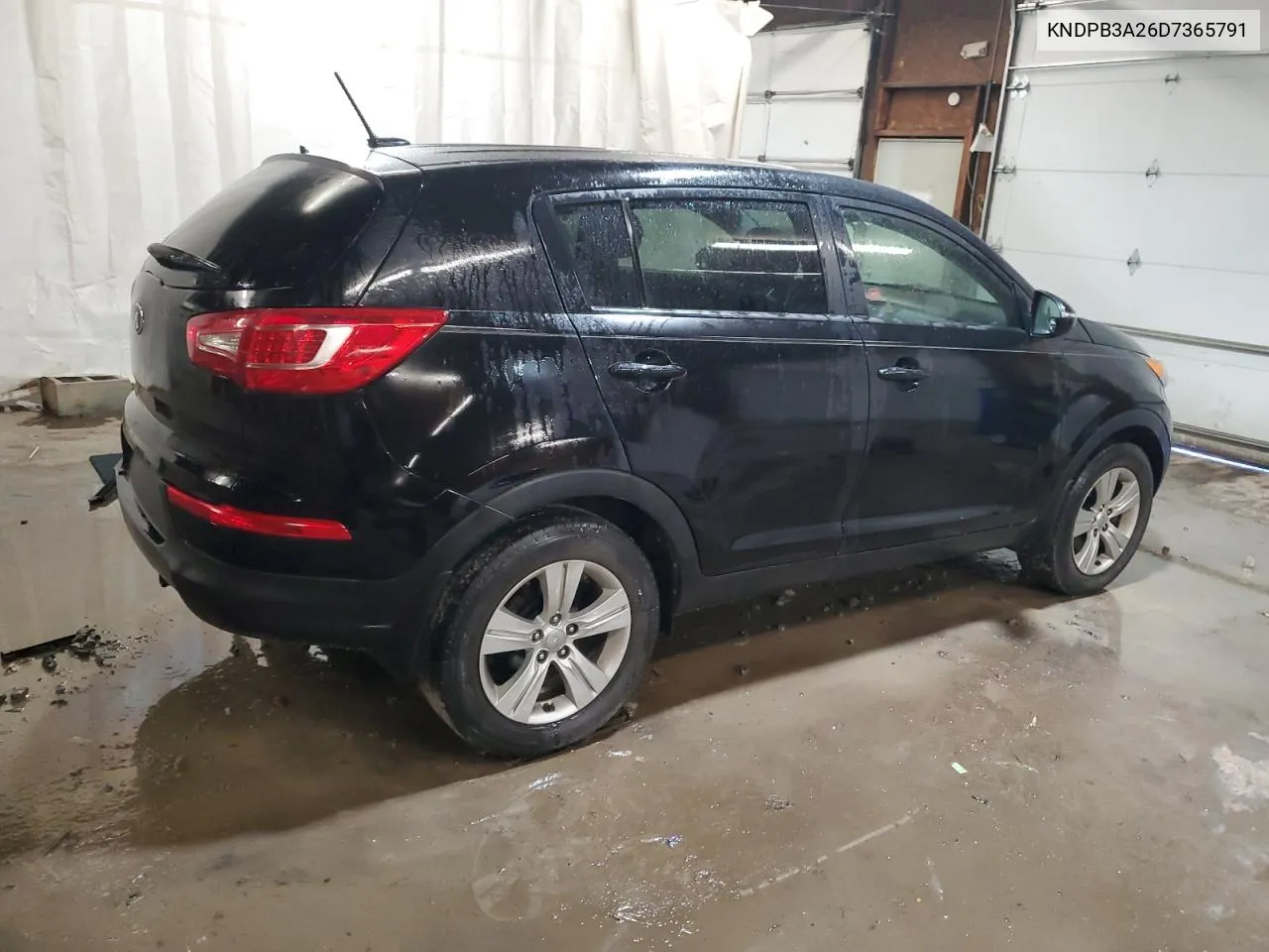 2013 Kia Sportage Base VIN: KNDPB3A26D7365791 Lot: 74584014