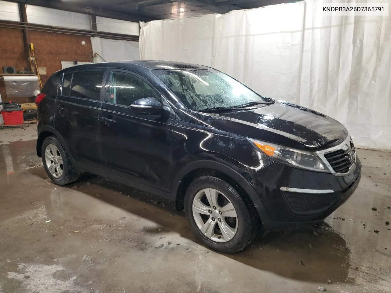 KNDPB3A26D7365791 2013 Kia Sportage Base