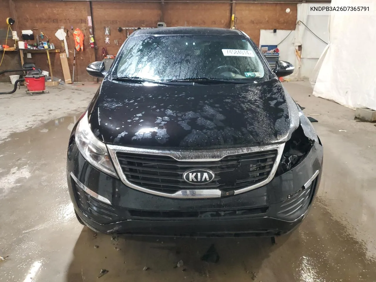 KNDPB3A26D7365791 2013 Kia Sportage Base