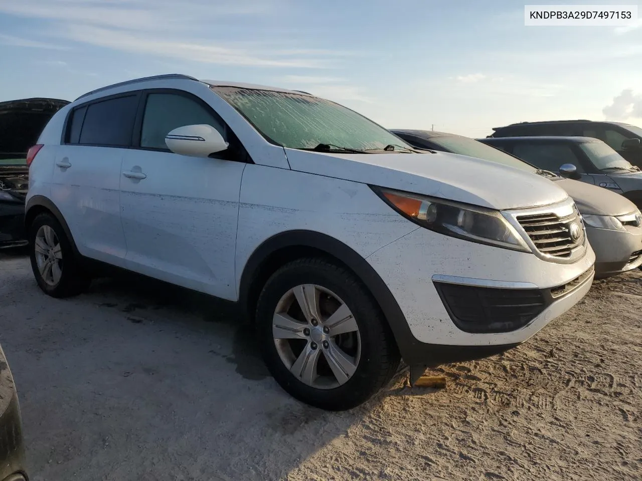 2013 Kia Sportage Base VIN: KNDPB3A29D7497153 Lot: 74846924