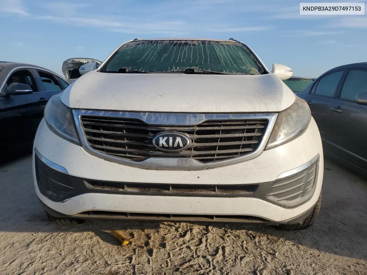 2013 Kia Sportage Base VIN: KNDPB3A29D7497153 Lot: 74846924