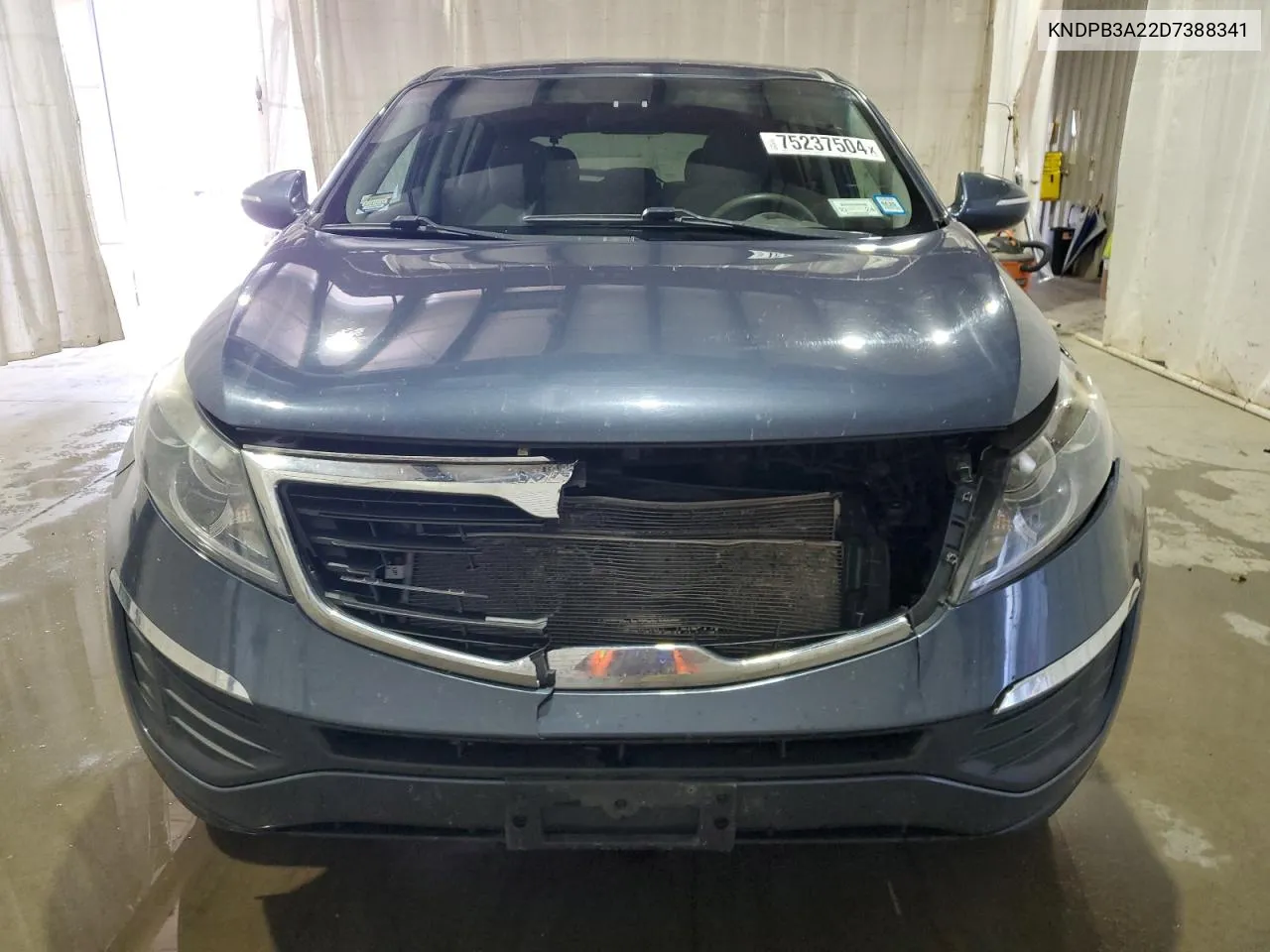 KNDPB3A22D7388341 2013 Kia Sportage Base