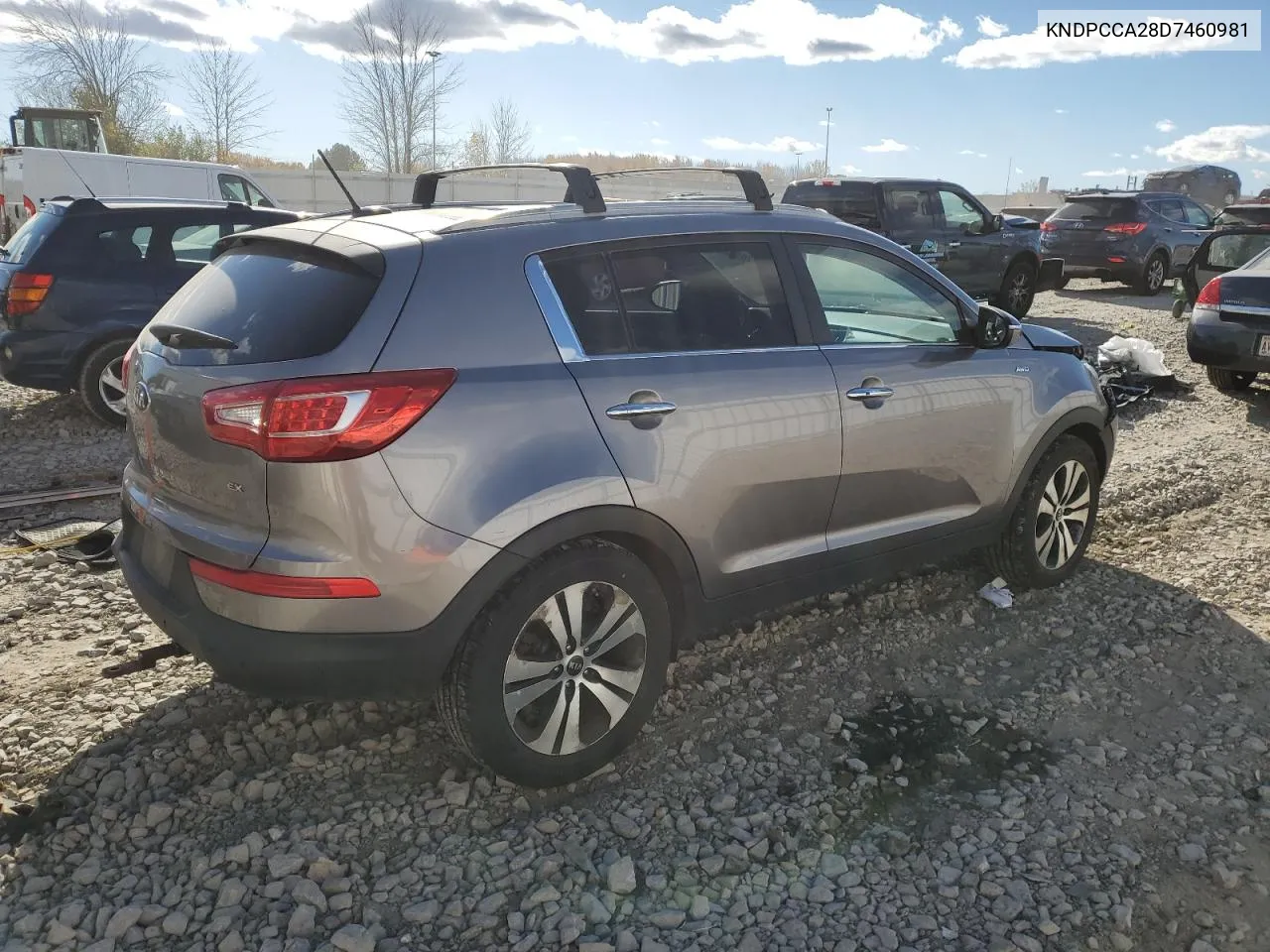 2013 Kia Sportage Ex VIN: KNDPCCA28D7460981 Lot: 76942994