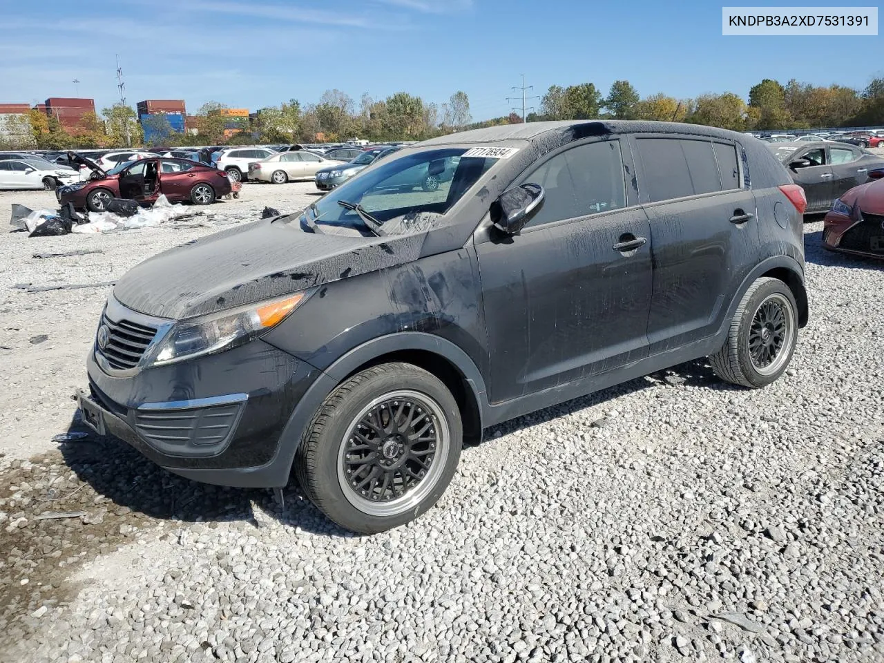 2013 Kia Sportage Base VIN: KNDPB3A2XD7531391 Lot: 77176934