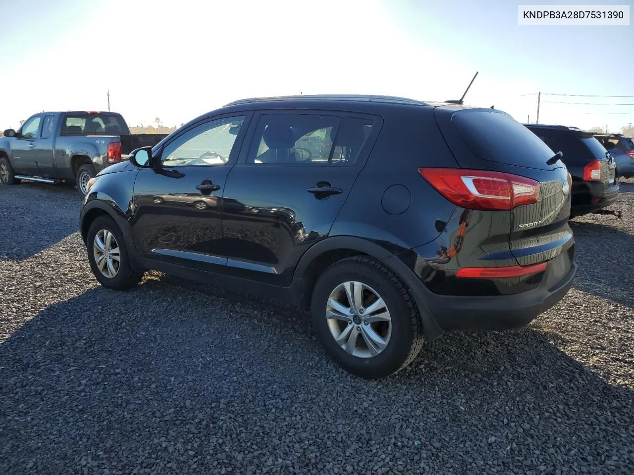 2013 Kia Sportage Base VIN: KNDPB3A28D7531390 Lot: 77557054