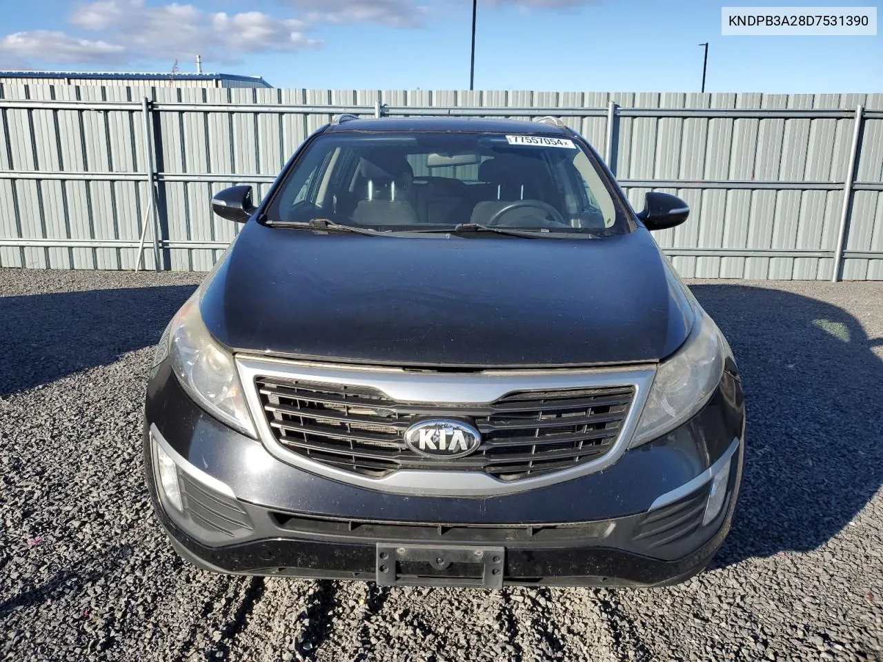 2013 Kia Sportage Base VIN: KNDPB3A28D7531390 Lot: 77557054