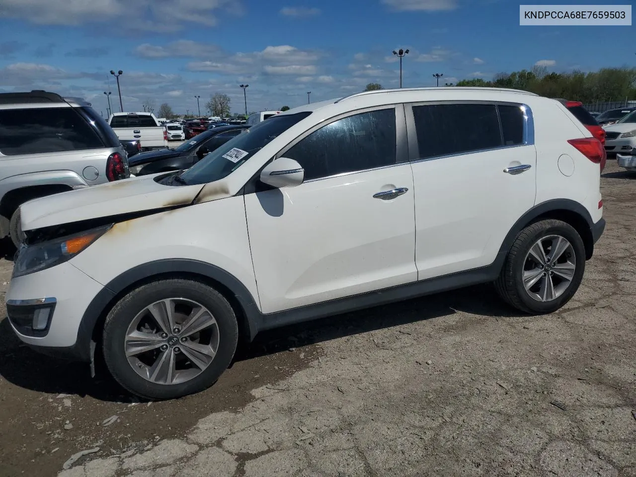 KNDPCCA68E7659503 2014 Kia Sportage Sx