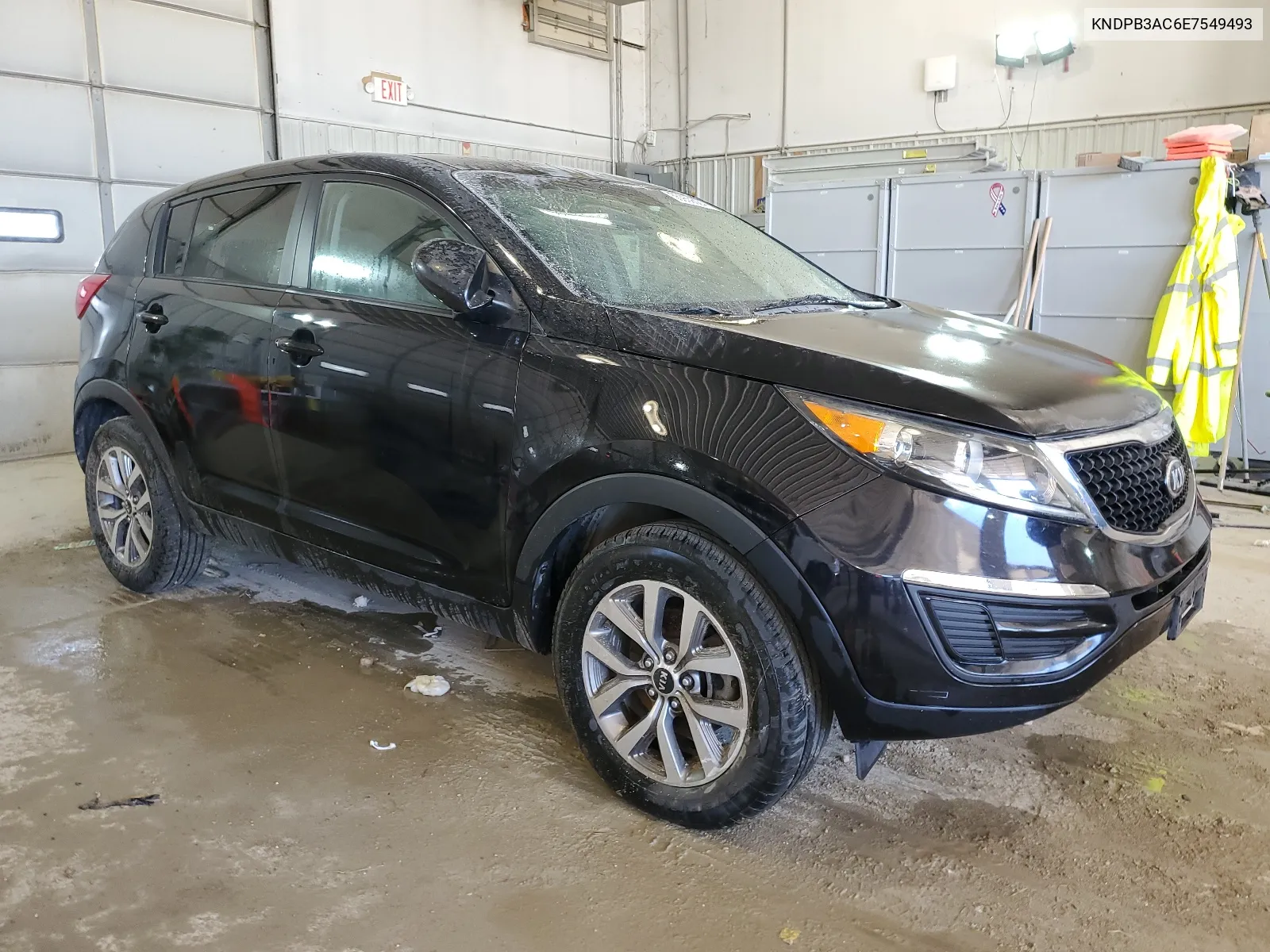 2014 Kia Sportage Base VIN: KNDPB3AC6E7549493 Lot: 55959024