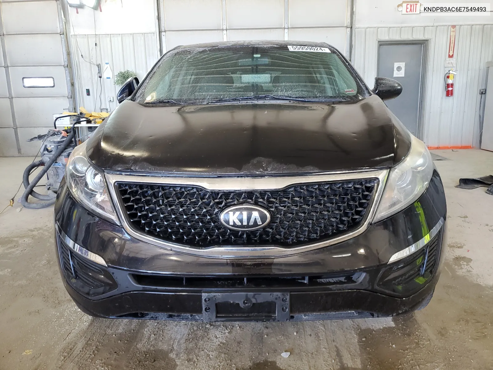 2014 Kia Sportage Base VIN: KNDPB3AC6E7549493 Lot: 55959024