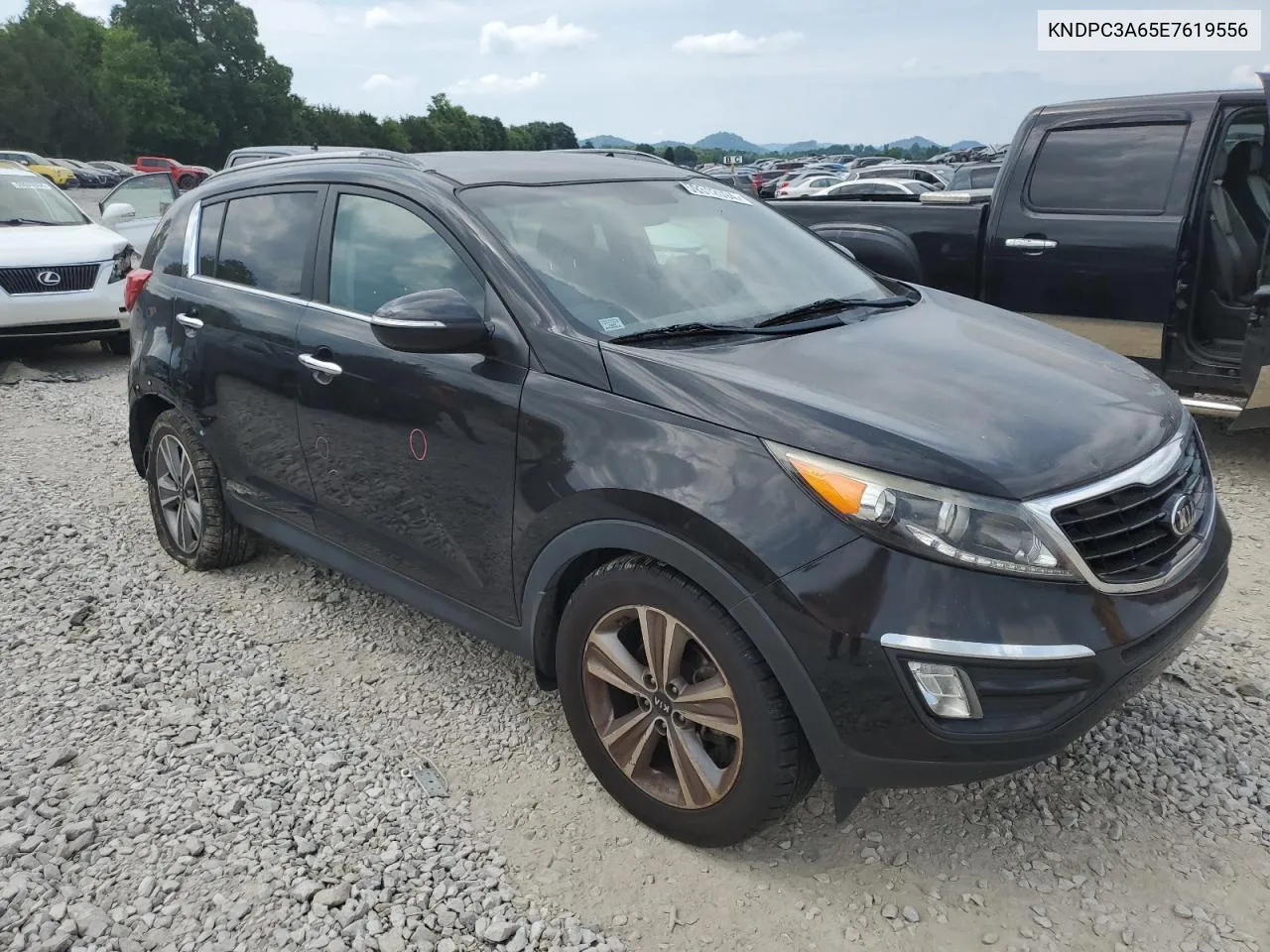 2014 Kia Sportage Sx VIN: KNDPC3A65E7619556 Lot: 59312094