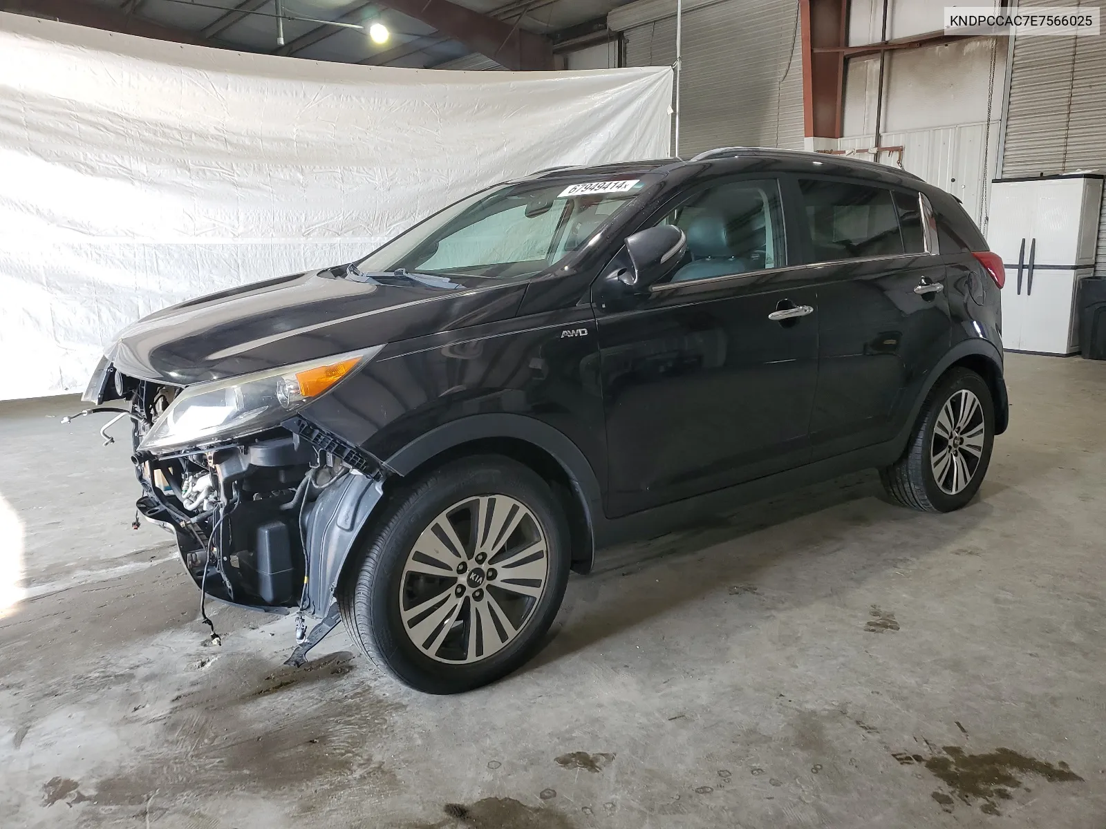 2014 Kia Sportage Ex VIN: KNDPCCAC7E7566025 Lot: 67949414