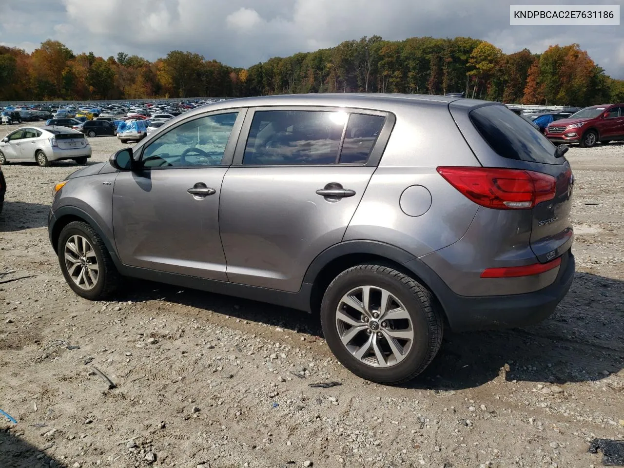 2014 Kia Sportage Lx VIN: KNDPBCAC2E7631186 Lot: 74490254