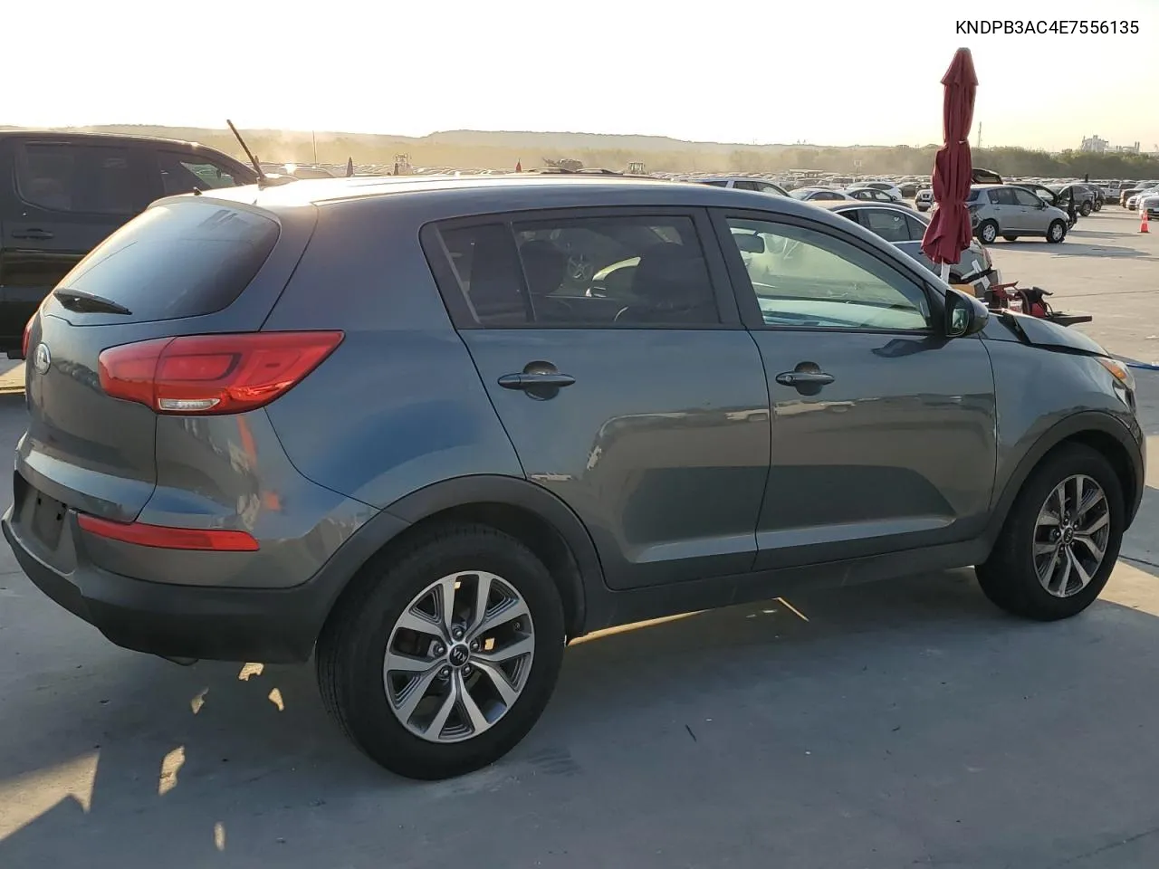 2014 Kia Sportage Base VIN: KNDPB3AC4E7556135 Lot: 74691924