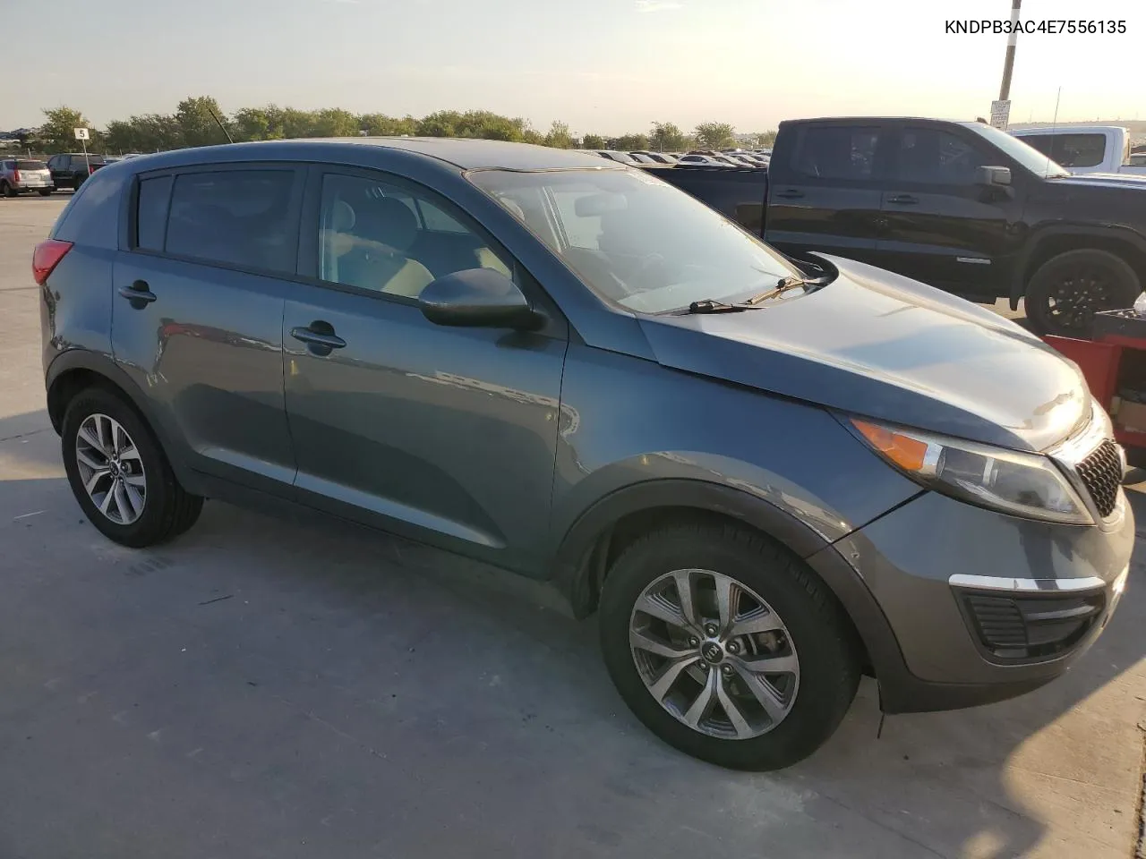 2014 Kia Sportage Base VIN: KNDPB3AC4E7556135 Lot: 74691924