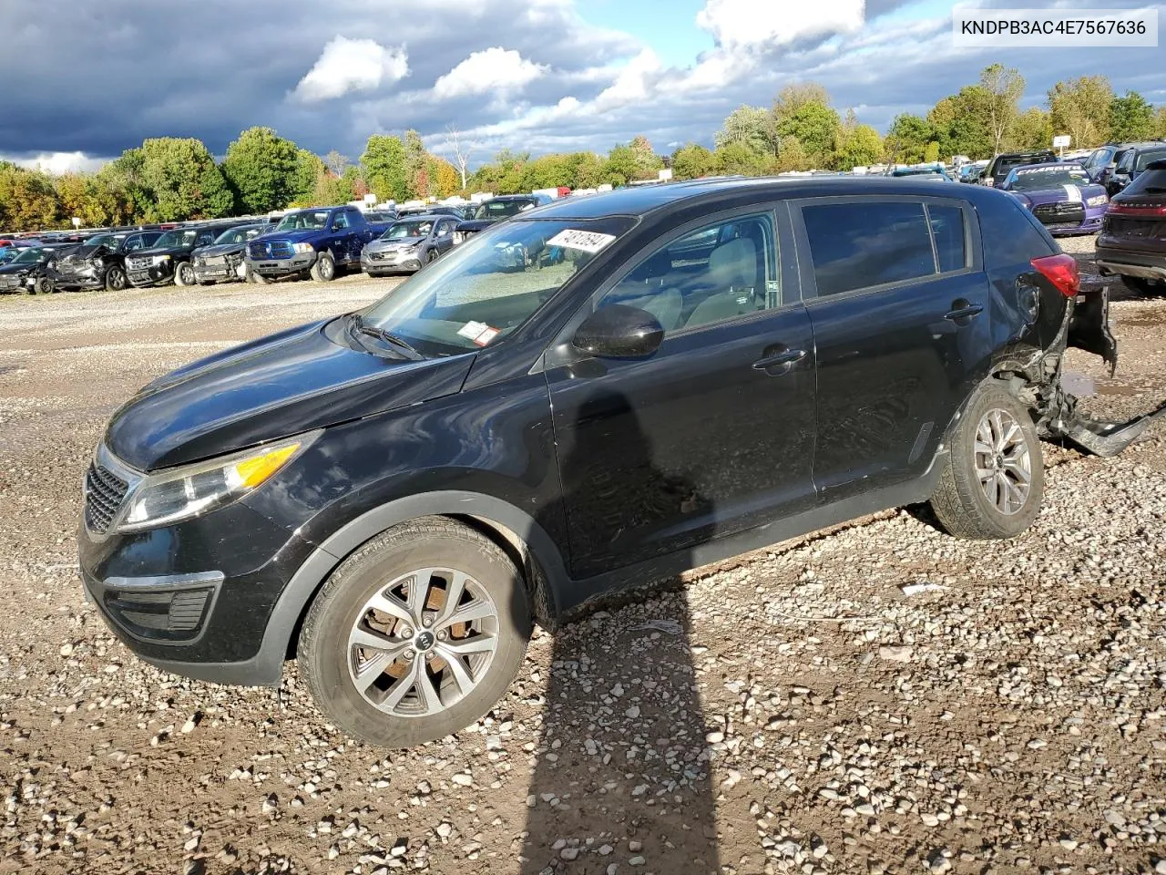 KNDPB3AC4E7567636 2014 Kia Sportage Base