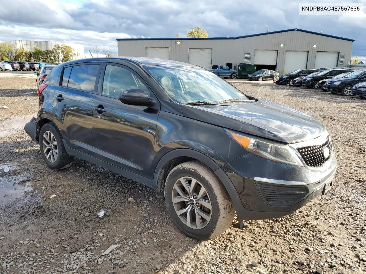 2014 Kia Sportage Base VIN: KNDPB3AC4E7567636 Lot: 74812694