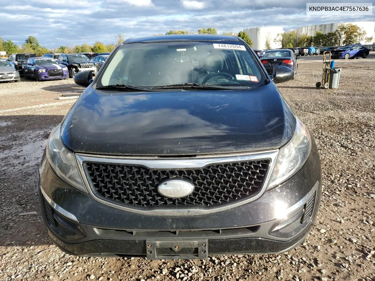 KNDPB3AC4E7567636 2014 Kia Sportage Base