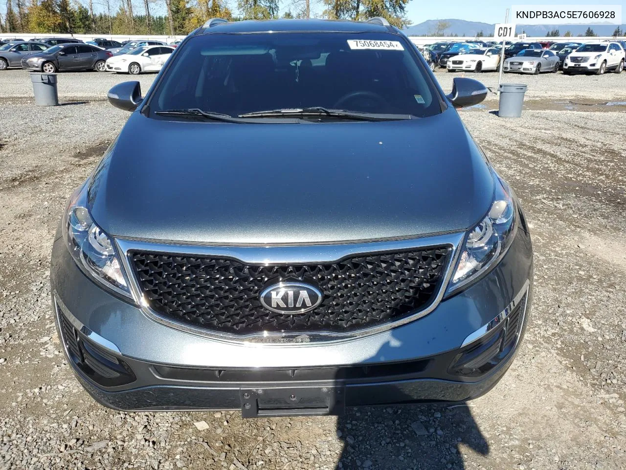 2014 Kia Sportage Base VIN: KNDPB3AC5E7606928 Lot: 75068454