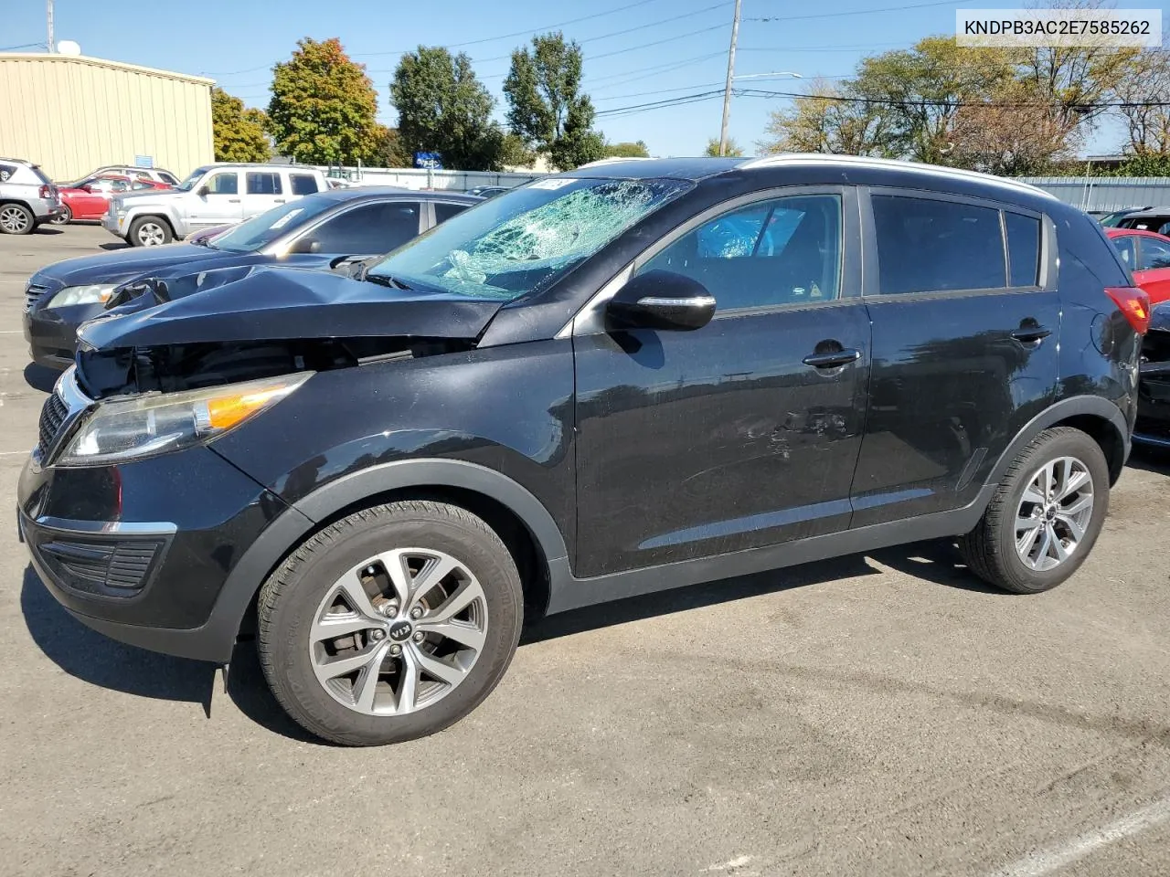 2014 Kia Sportage Base VIN: KNDPB3AC2E7585262 Lot: 76331164