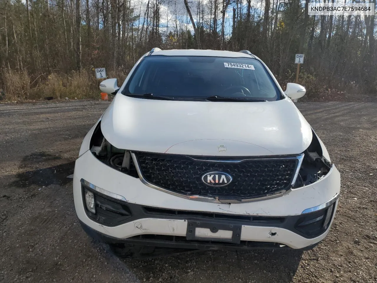 2014 Kia Sportage Base VIN: KNDPB3AC7E7594684 Lot: 79493214