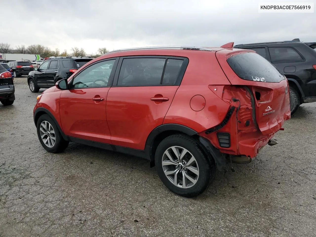 2014 Kia Sportage Base VIN: KNDPB3AC0E7566919 Lot: 80008844