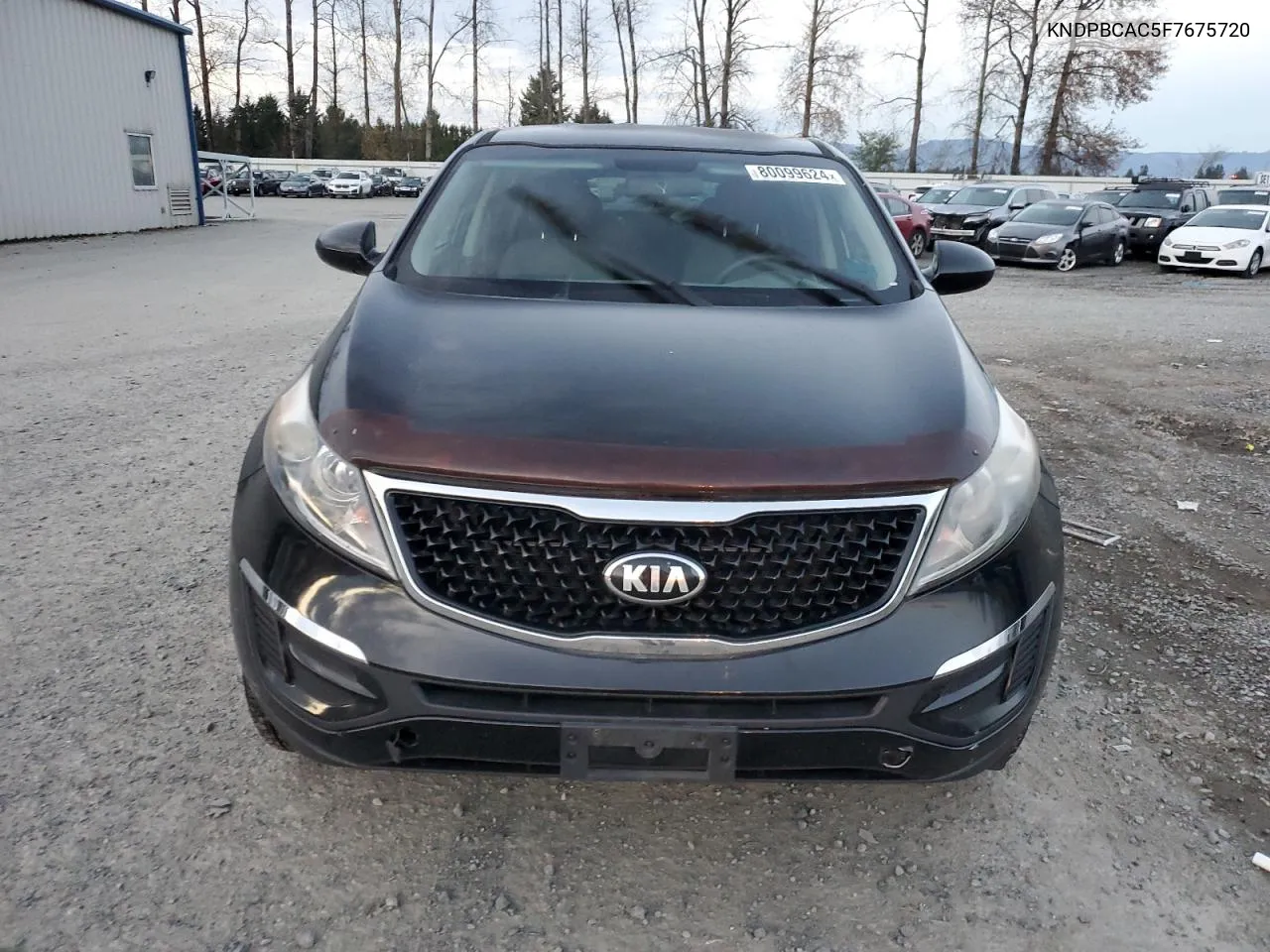 2015 Kia Sportage Lx VIN: KNDPBCAC5F7675720 Lot: 80099624