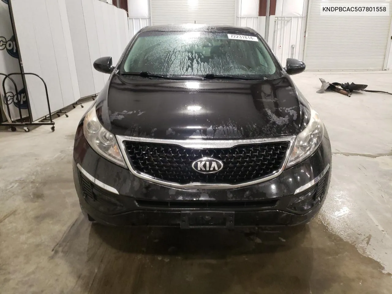 KNDPBCAC5G7801558 2016 Kia Sportage Lx