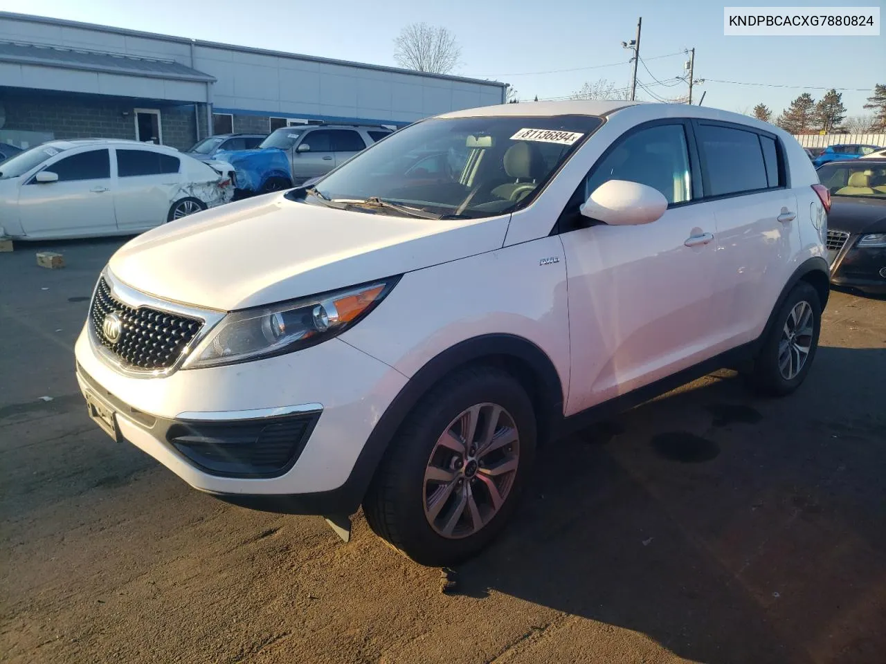 2016 Kia Sportage Lx VIN: KNDPBCACXG7880824 Lot: 81136894