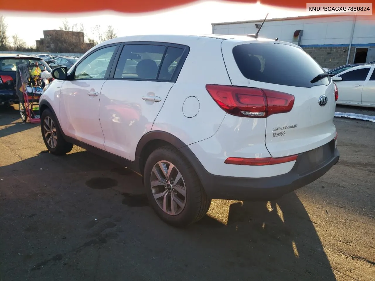 2016 Kia Sportage Lx VIN: KNDPBCACXG7880824 Lot: 81136894