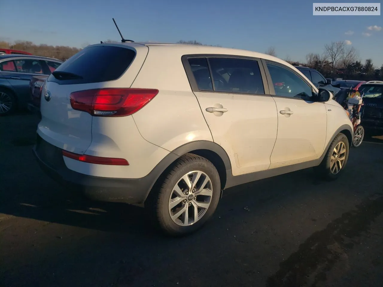 2016 Kia Sportage Lx VIN: KNDPBCACXG7880824 Lot: 81136894