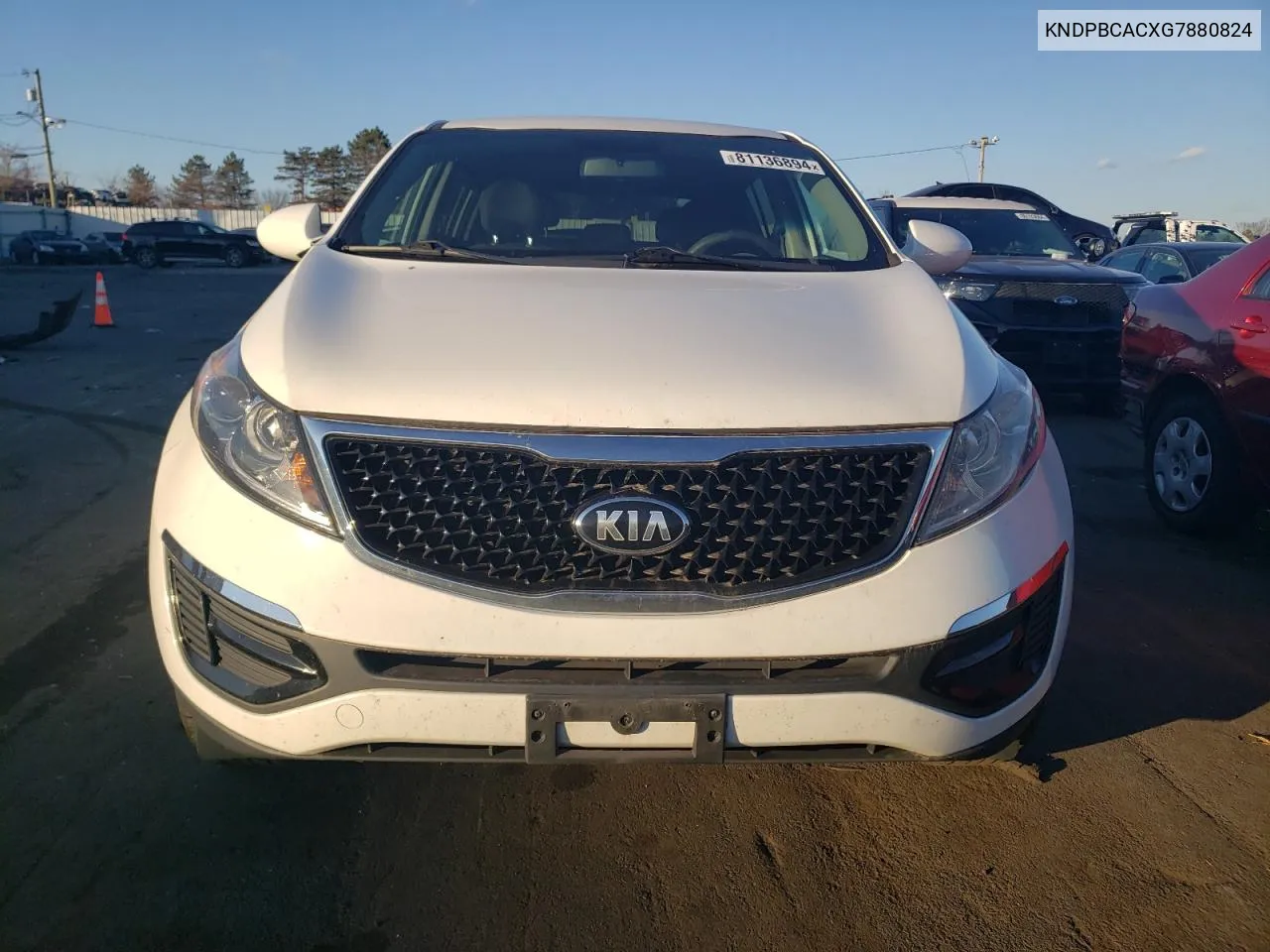 2016 Kia Sportage Lx VIN: KNDPBCACXG7880824 Lot: 81136894