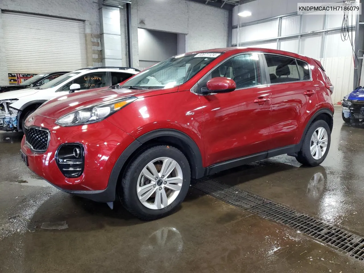 2017 Kia Sportage Lx VIN: KNDPMCAC1H7186079 Lot: 60871124