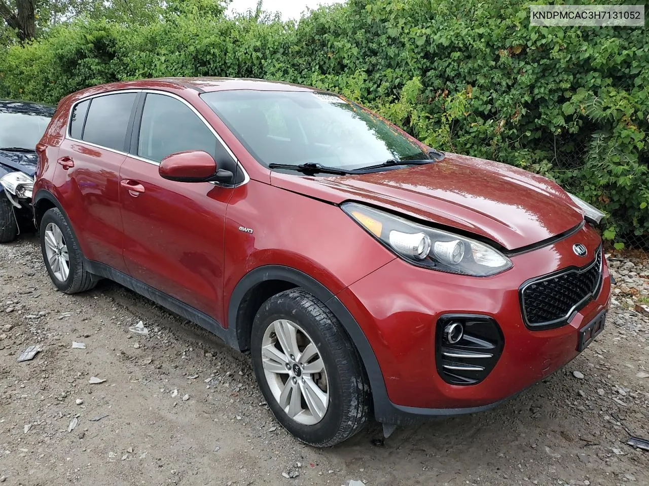 2017 Kia Sportage Lx VIN: KNDPMCAC3H7131052 Lot: 66875194