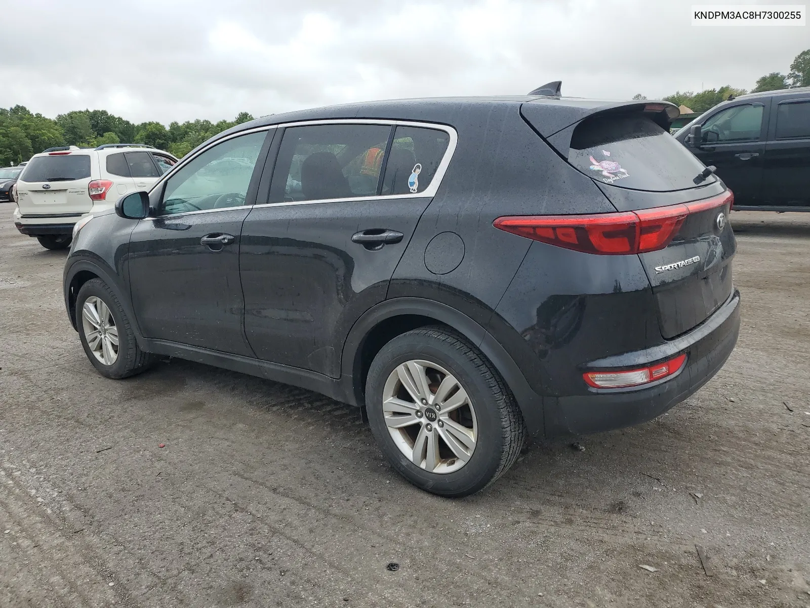 2017 Kia Sportage Lx VIN: KNDPM3AC8H7300255 Lot: 67935954