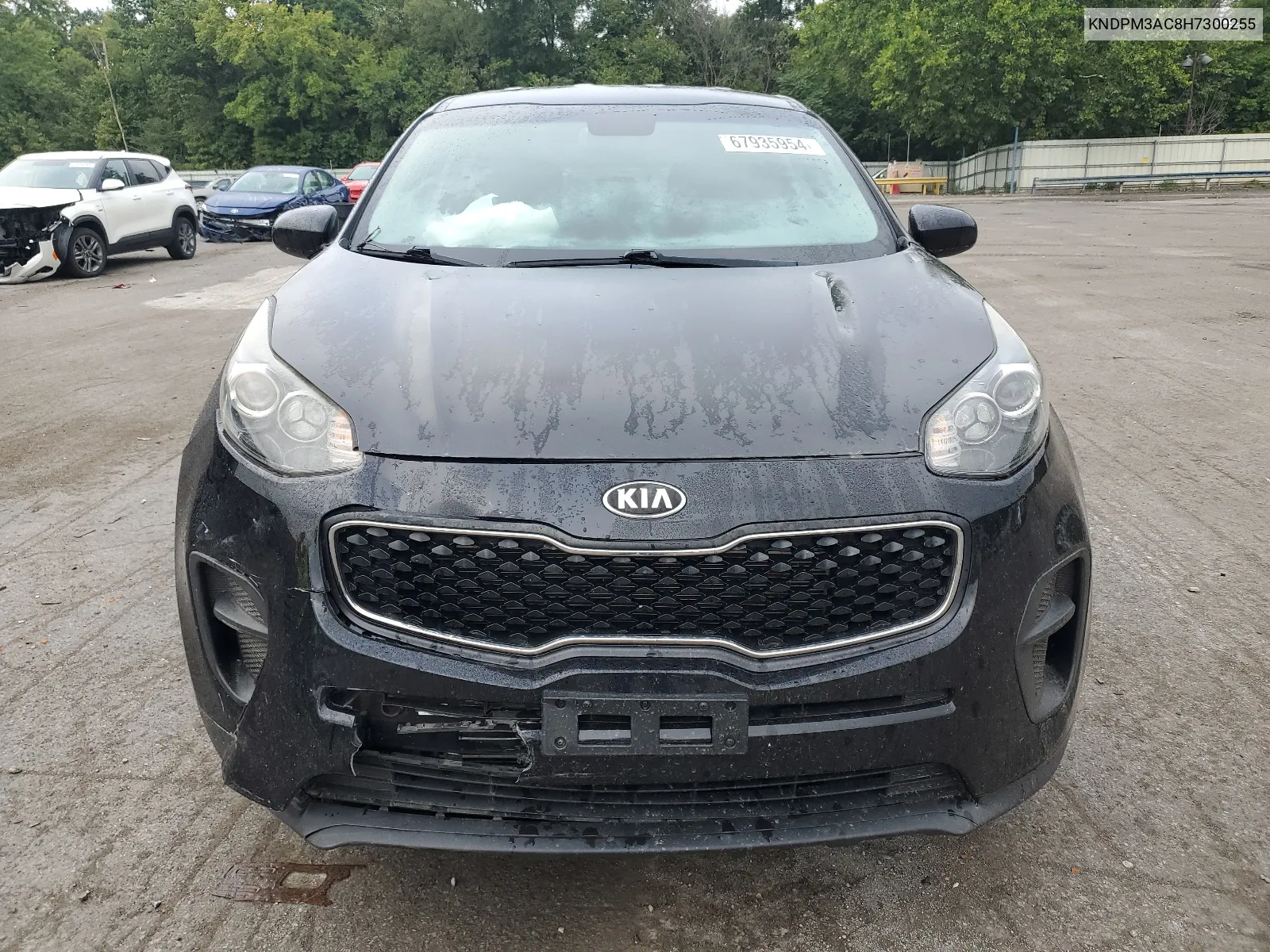 KNDPM3AC8H7300255 2017 Kia Sportage Lx