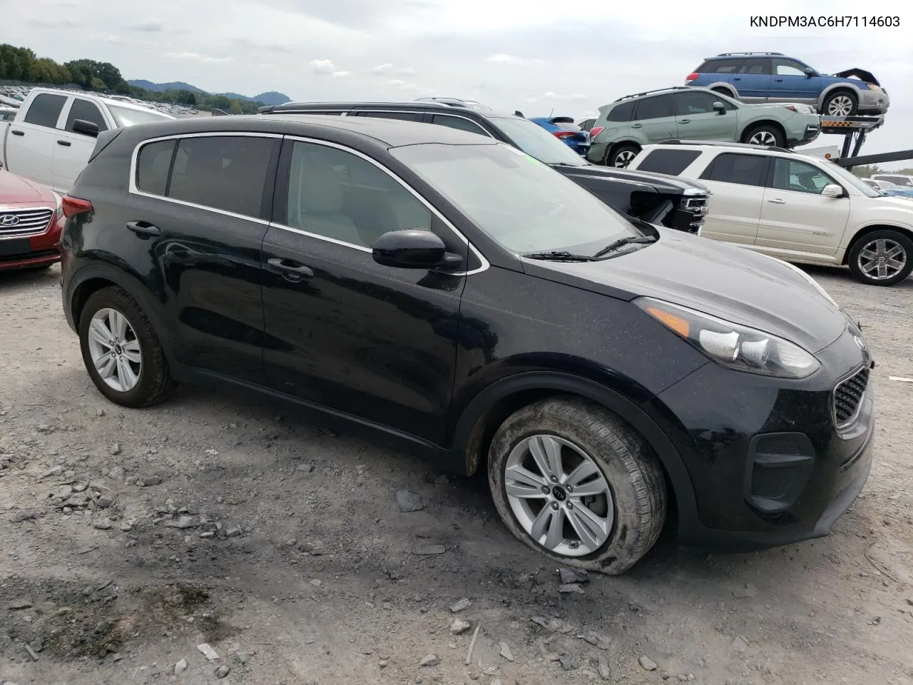 2017 Kia Sportage Lx VIN: KNDPM3AC6H7114603 Lot: 70139794