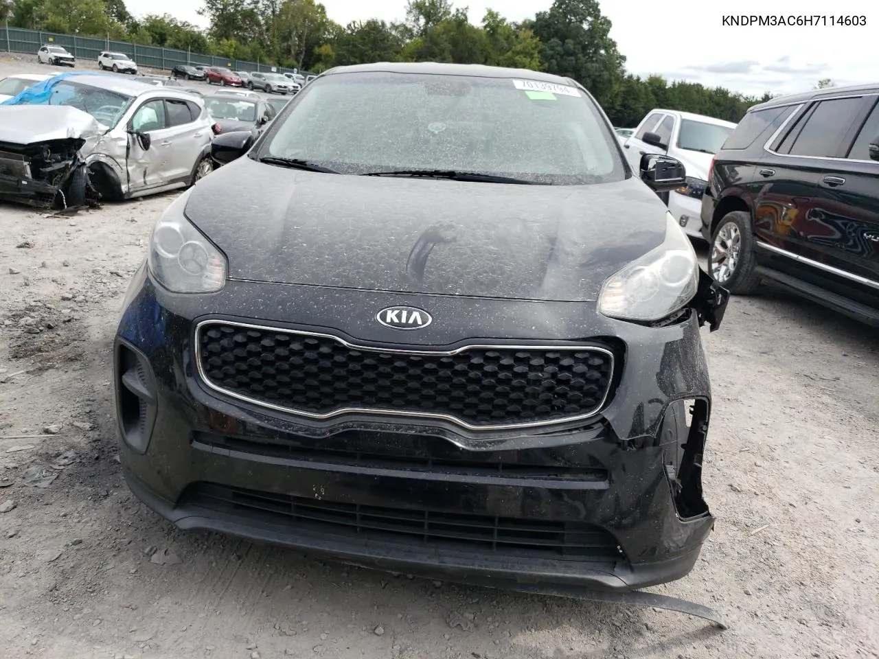 2017 Kia Sportage Lx VIN: KNDPM3AC6H7114603 Lot: 70139794