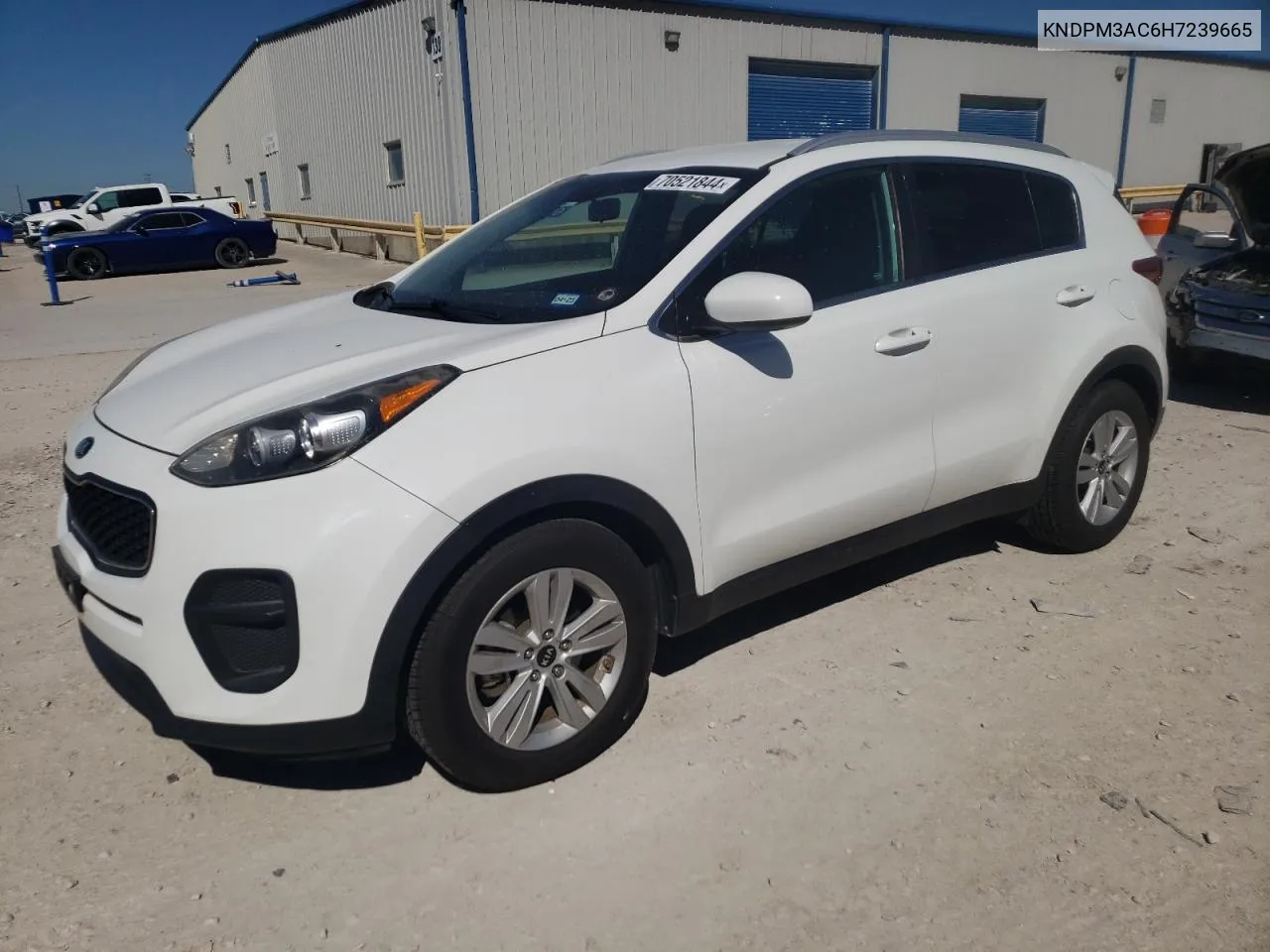 KNDPM3AC6H7239665 2017 Kia Sportage Lx