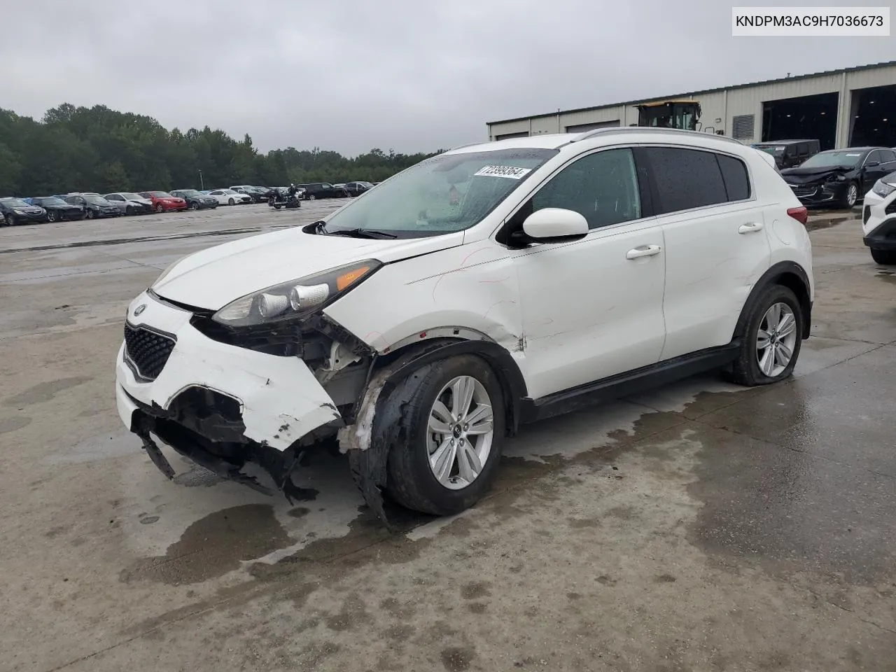 KNDPM3AC9H7036673 2017 Kia Sportage Lx