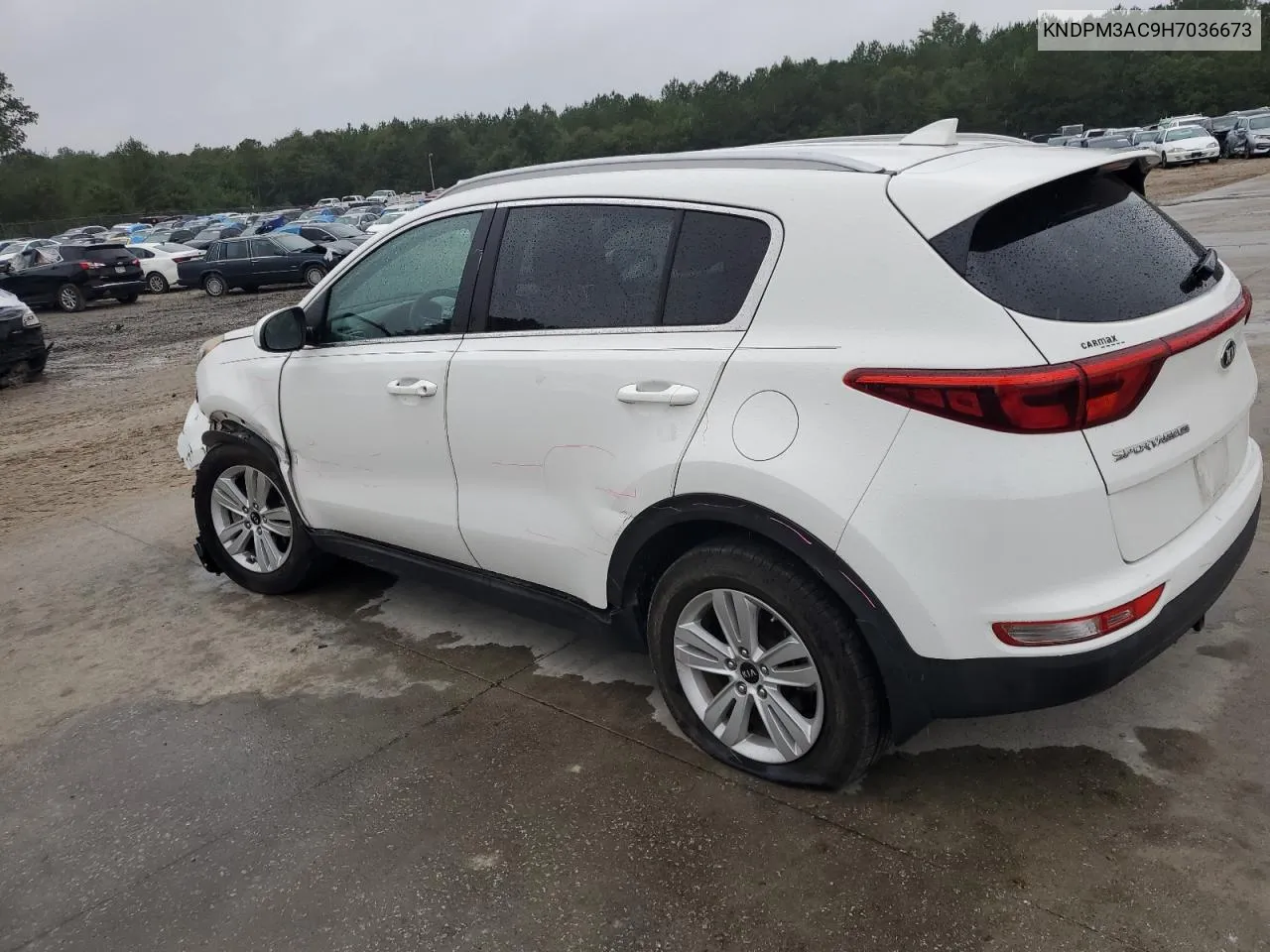 2017 Kia Sportage Lx VIN: KNDPM3AC9H7036673 Lot: 72399364