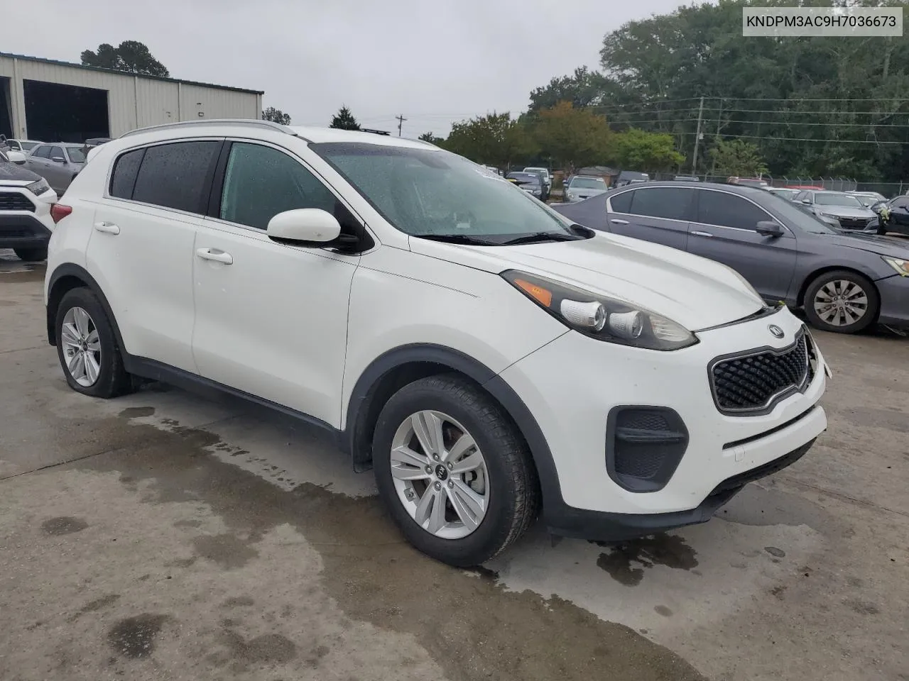 KNDPM3AC9H7036673 2017 Kia Sportage Lx