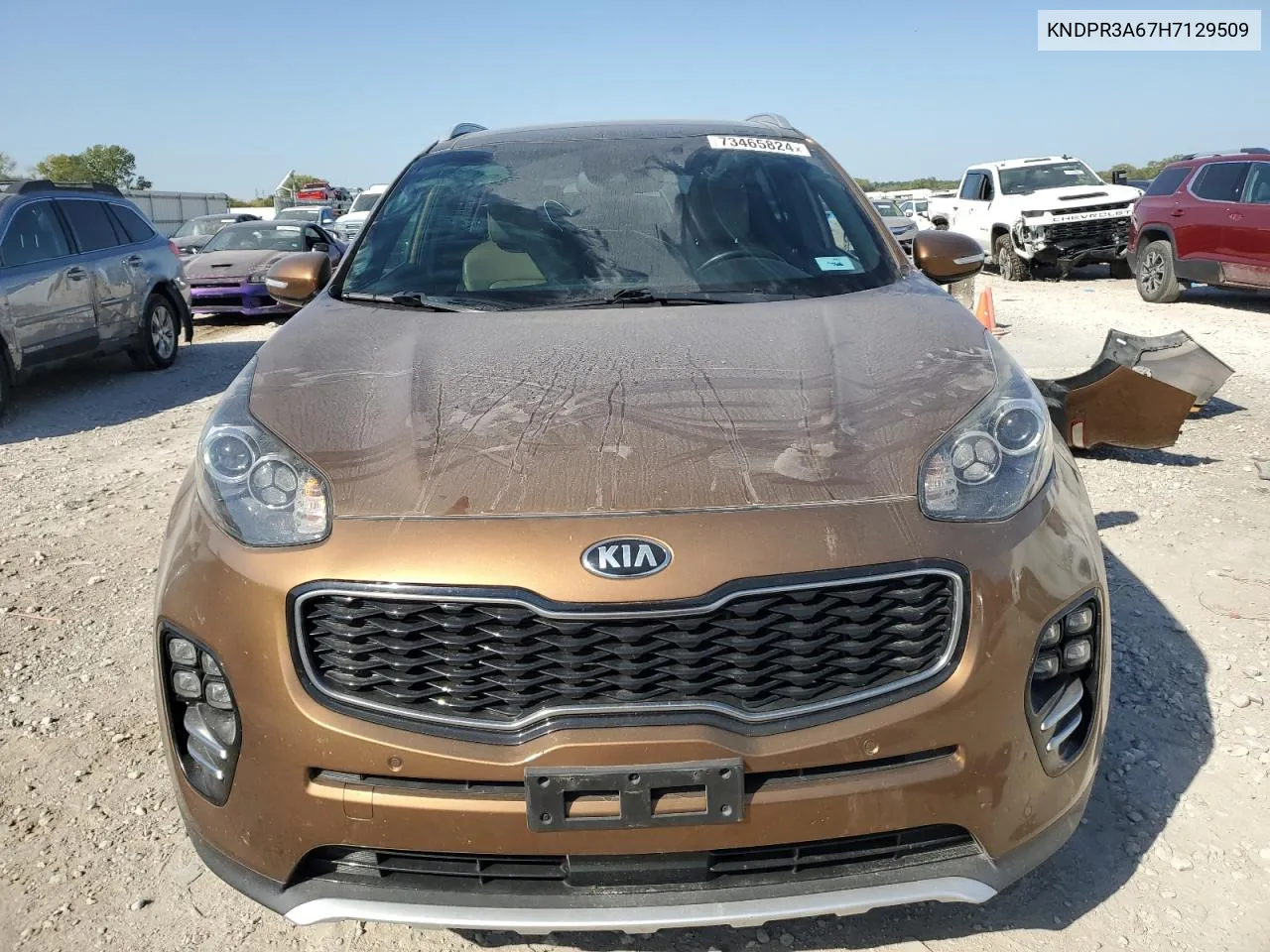 KNDPR3A67H7129509 2017 Kia Sportage Sx