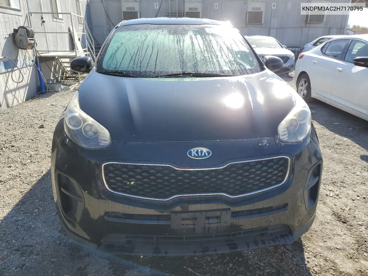 2017 Kia Sportage Lx VIN: KNDPM3AC2H7170795 Lot: 81292524