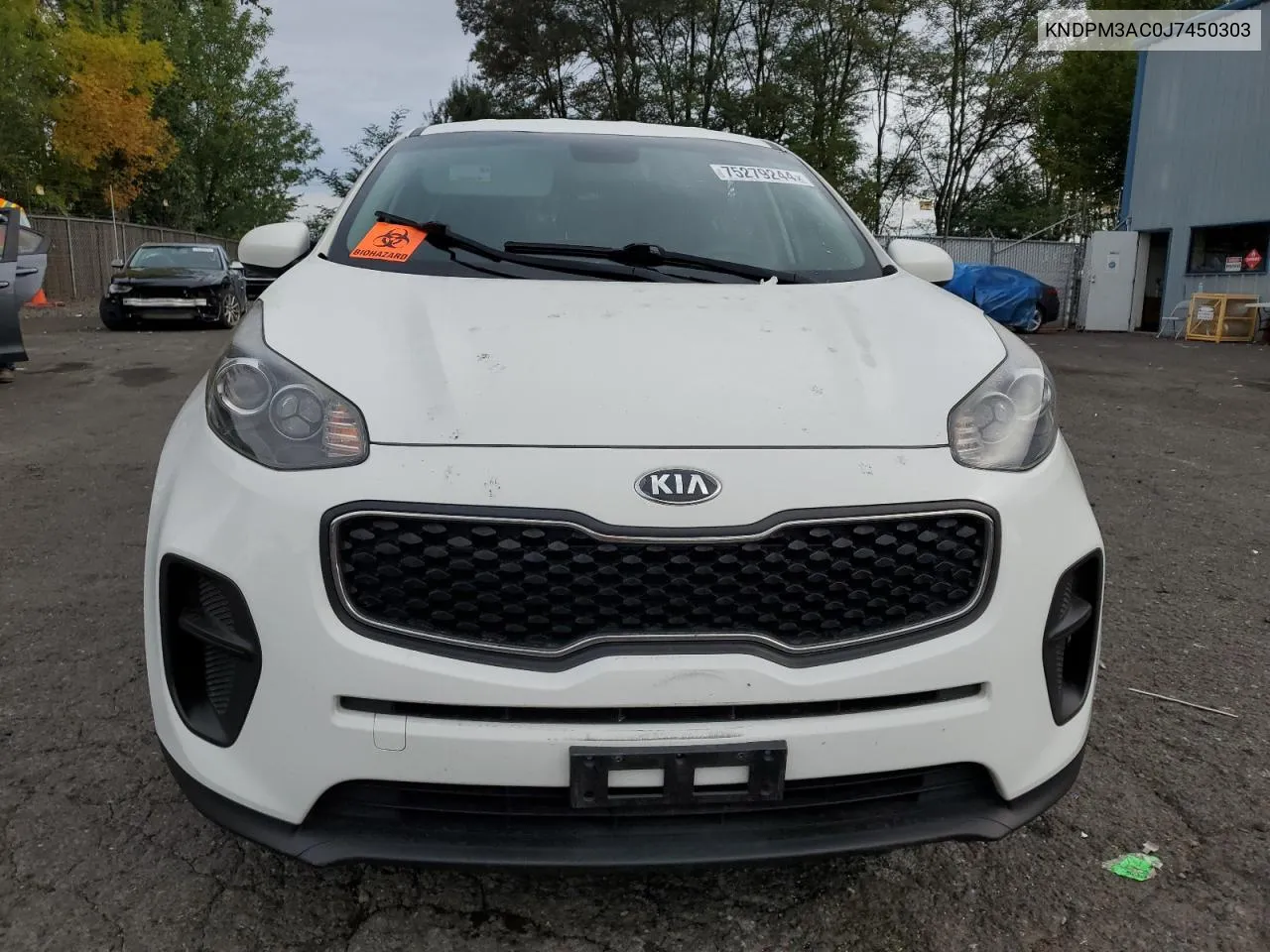 2018 Kia Sportage Lx VIN: KNDPM3AC0J7450303 Lot: 75279244