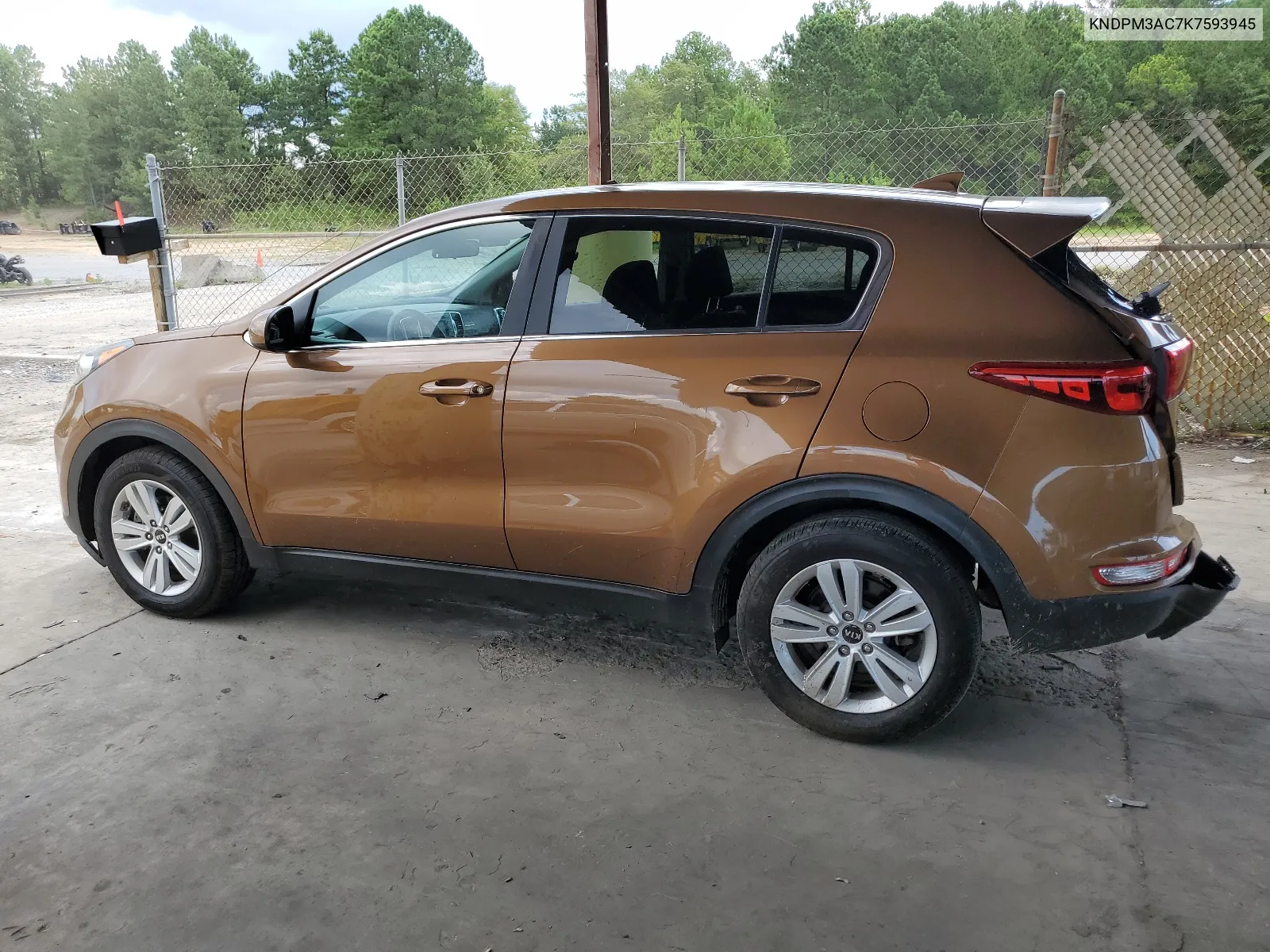 2019 Kia Sportage Lx VIN: KNDPM3AC7K7593945 Lot: 62096524