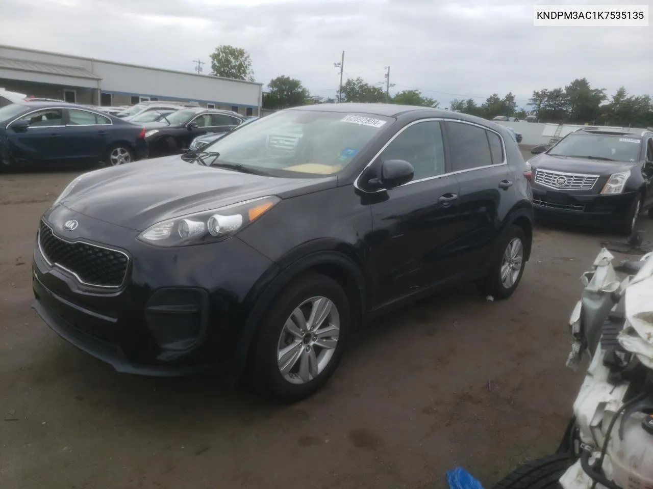 2019 Kia Sportage Lx VIN: KNDPM3AC1K7535135 Lot: 62692594