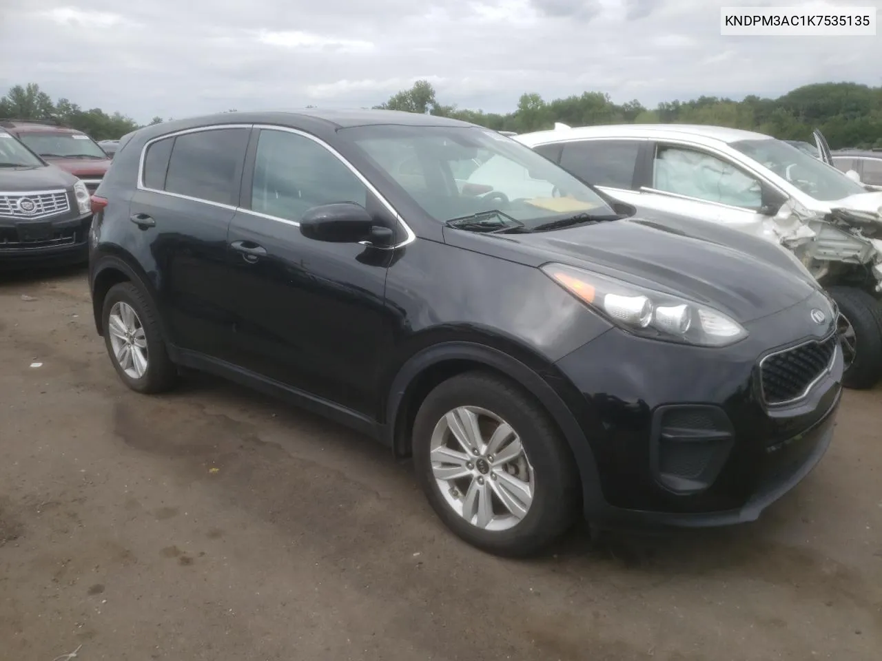 KNDPM3AC1K7535135 2019 Kia Sportage Lx